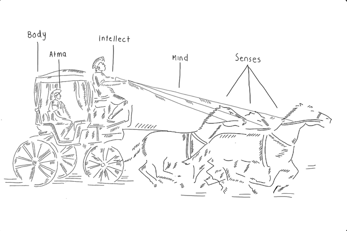 Line illustration of the Pragraha chariot allegory labelled Body, Atma, Intellect, Mind and Senses.